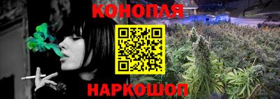 метадон Новодвинск