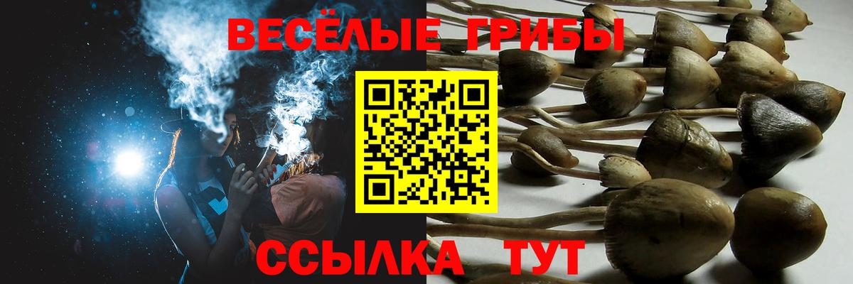 Псилоцибиновые грибы Magic Shrooms Семилуки